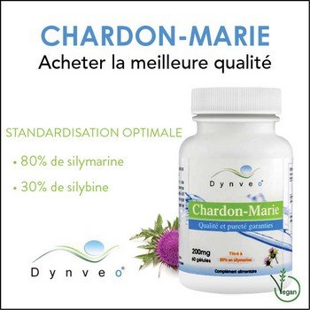 chardon-marie-dynveo