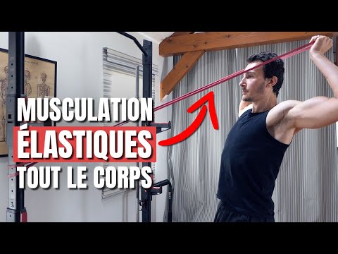 ENTRAÎNEMENT MUSCULATION de TOUT LE CORPS aux élastiques (full body rapide) !