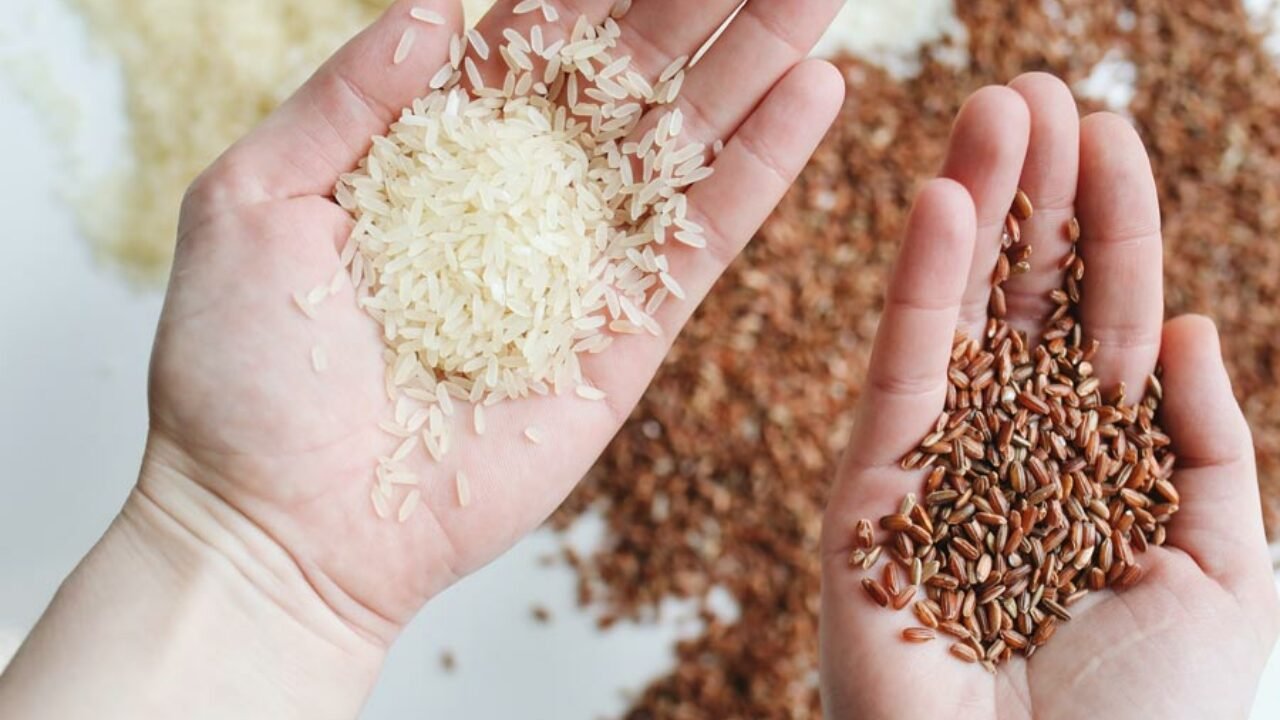 Faut-Il Faire Tremper Le Riz ? – Mr Bien Etre