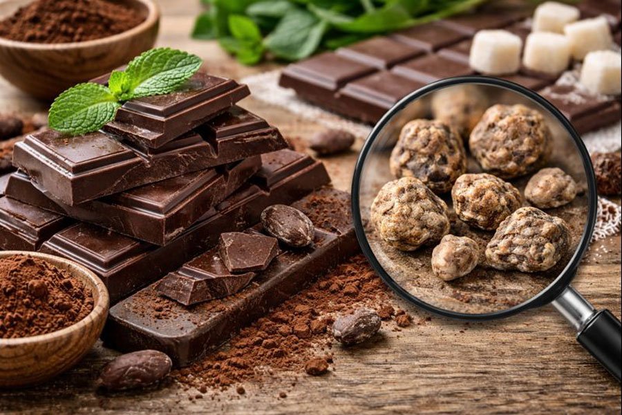 calculs-oxaliques-attention-au-chocolat