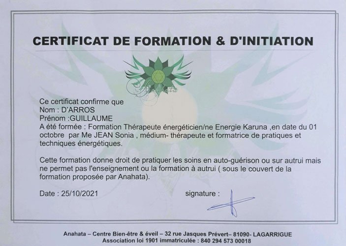 certification-therapeute-energeticien-light