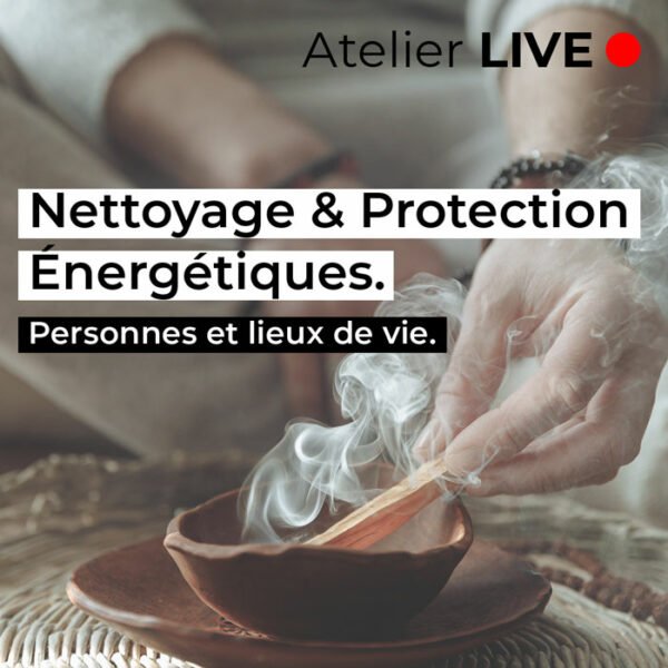 atelier-nettoyage-protection-energetiques-light