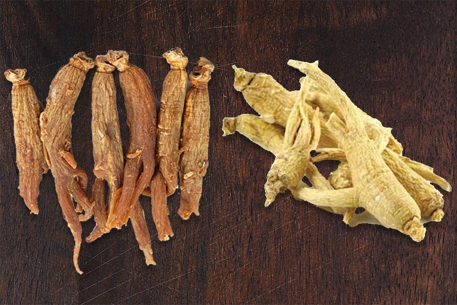 difference-entre-ginseng-rouge-et-ginseng-blanc