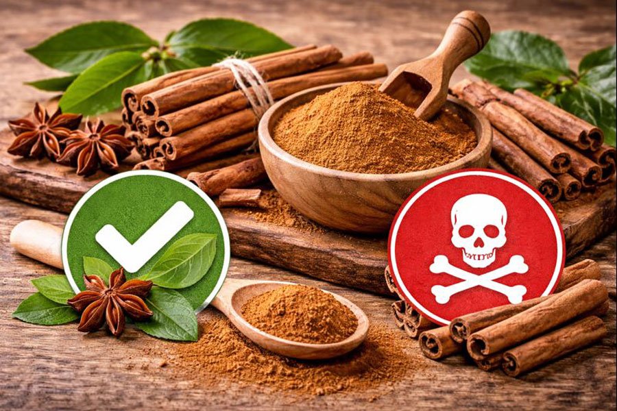 cannelle-de-ceylan-bienfaits-et-dangers