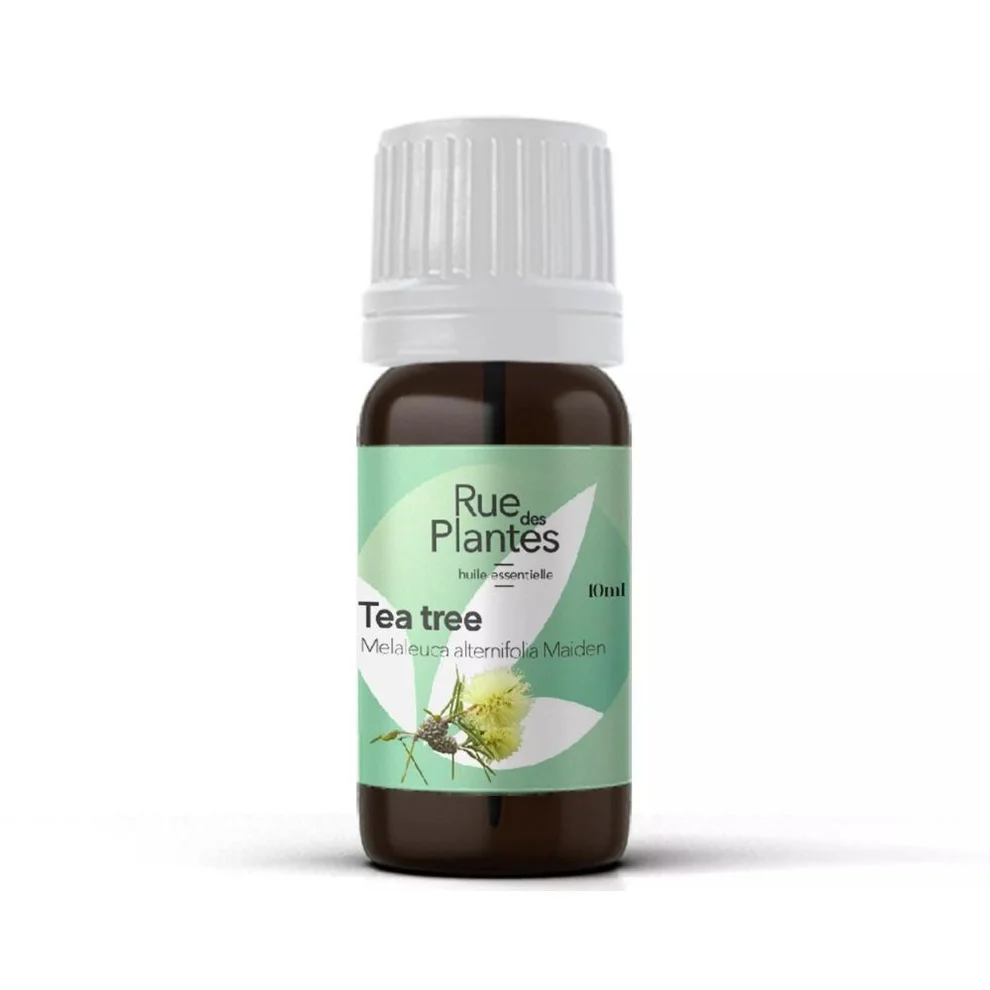 Huile_essentielle_de_tea_tree_bio-RueDesPlantes