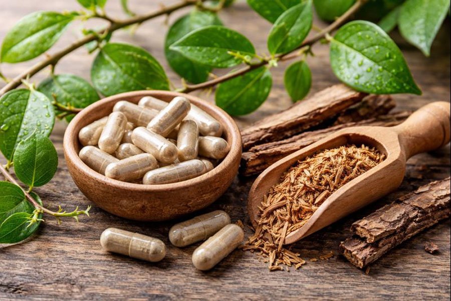 griffe-de-chat-uncaria-tomentosa-une-plante-ancestrale-pour-bien-vieillir